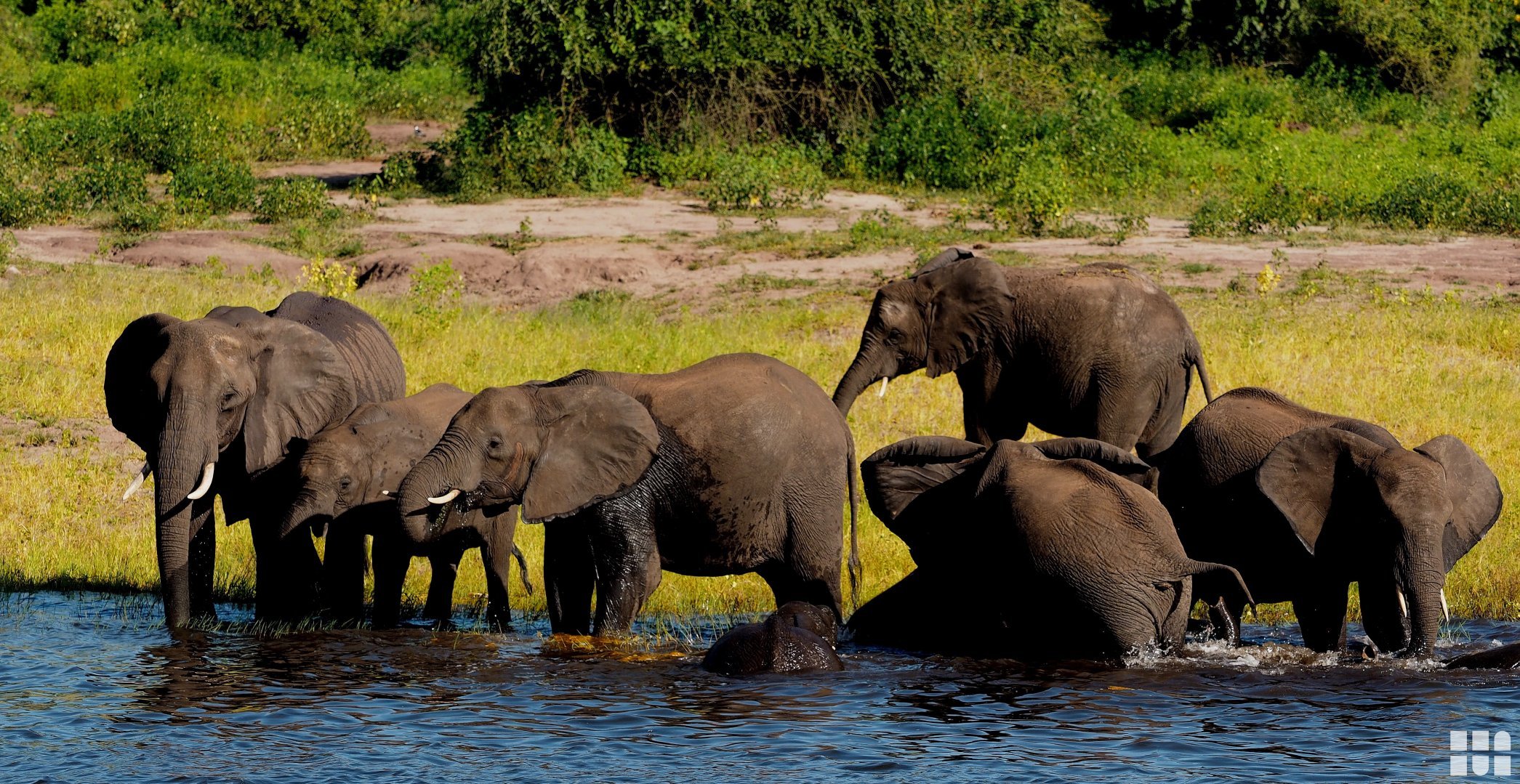 ab 5.599 €- 13-tägige Deluxe Erlebnisreise durch Botswana, Namibia und Simbabwe inkl. Übernachtungen in Safari Lodges, Safaris im Geländewagen und auf Booten, All-Inclusive Verpflegung und Flügen