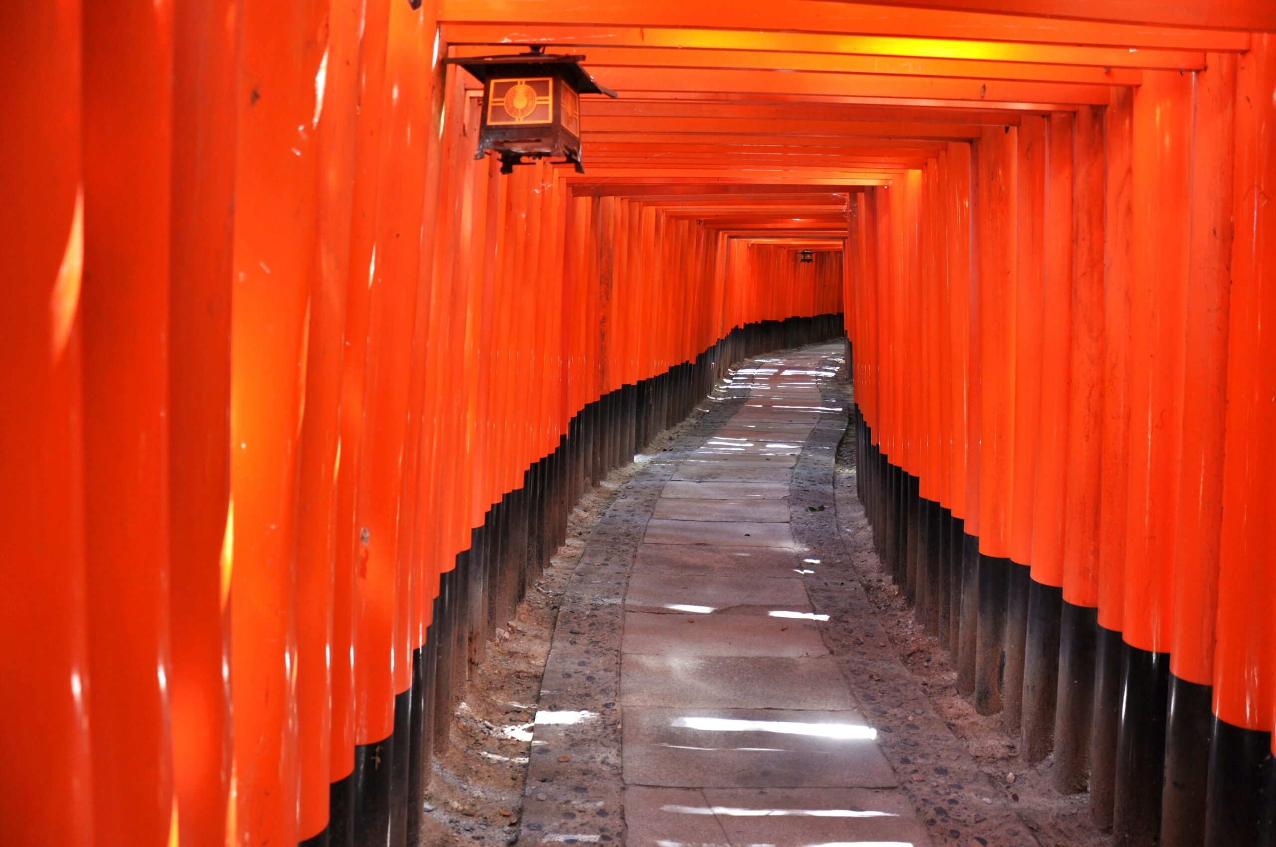 ab 2595 € – 11-tägige Erlebnisreise durch Japan inkl. Tokio mit Highlights alte Kaiserstadt Kyoto, Schnee-Affen von Jigokudani, UNESCO-Welterbestätte Shirakawago & Transfers und Flügen