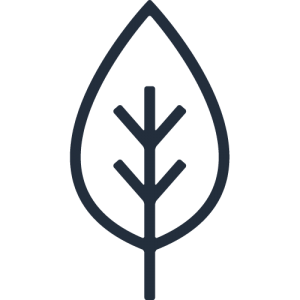 leaf-logo-1 3