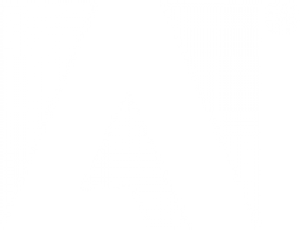 logo_1-1 3