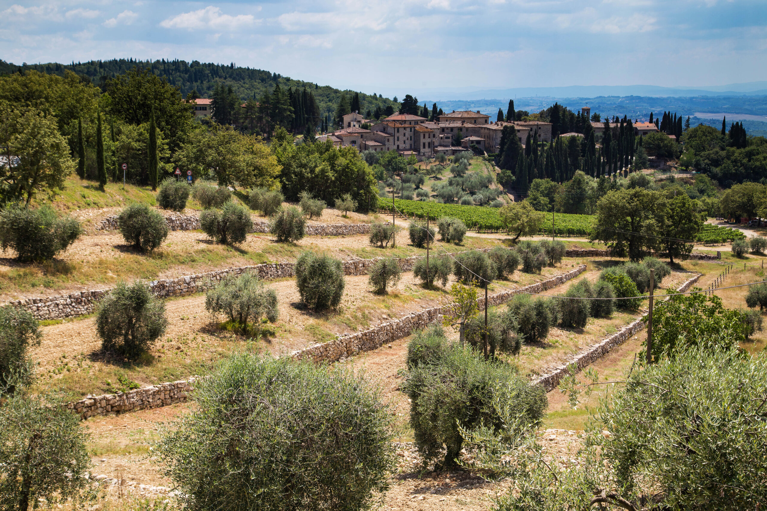 ab 189 € – 4, 5 o. 8 Tage Urlaubsgenuss unter der toskanischen Sonne im Resort Borgo Syrah inkl. Frühstück & Weinverkostung