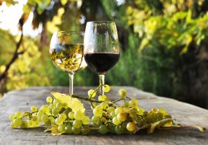 Pair of wineglasses and bunch of grapes. Lavaux region, Switzerl 1