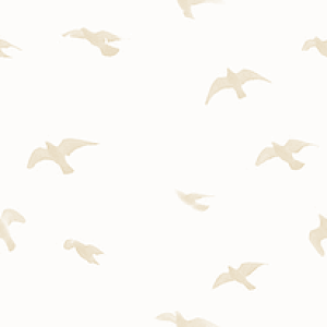 yellow_birds 3