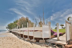 canne7 3