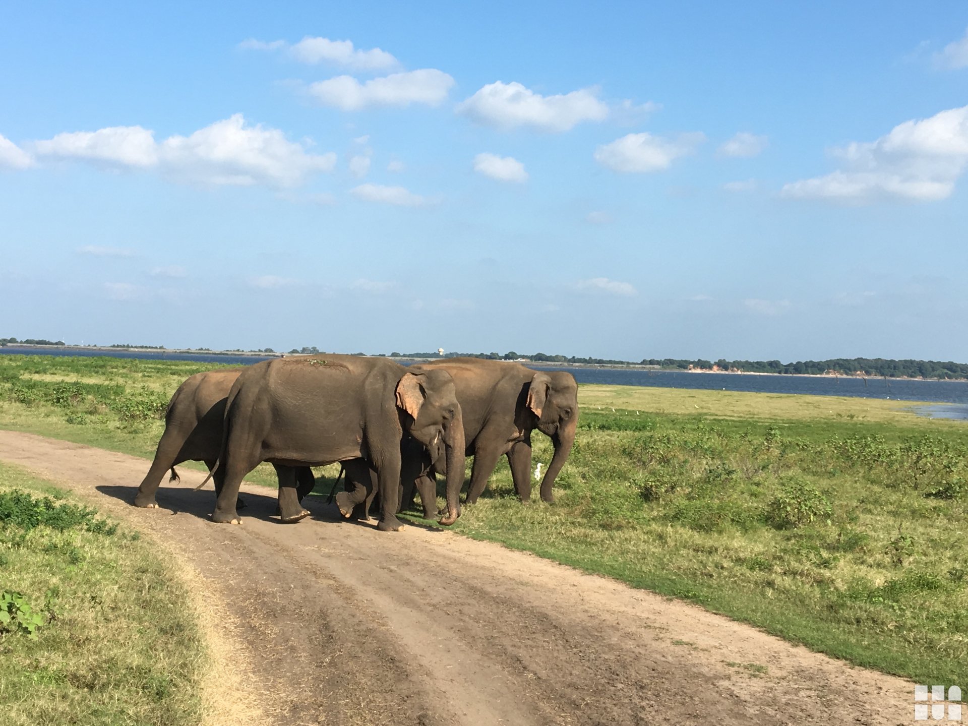 ab 1099 € – 12-tägige Rundreise Sri Lanka / Vereinigte Arabische Emirate inkl. Frühstück, Flug & großem Ausflugapaket in Sri Lanka