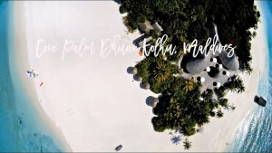 Coco Palm Dhuni Kolhu, Maldives - Luxury, dolphins & romance at the Eco Beach Hideaway