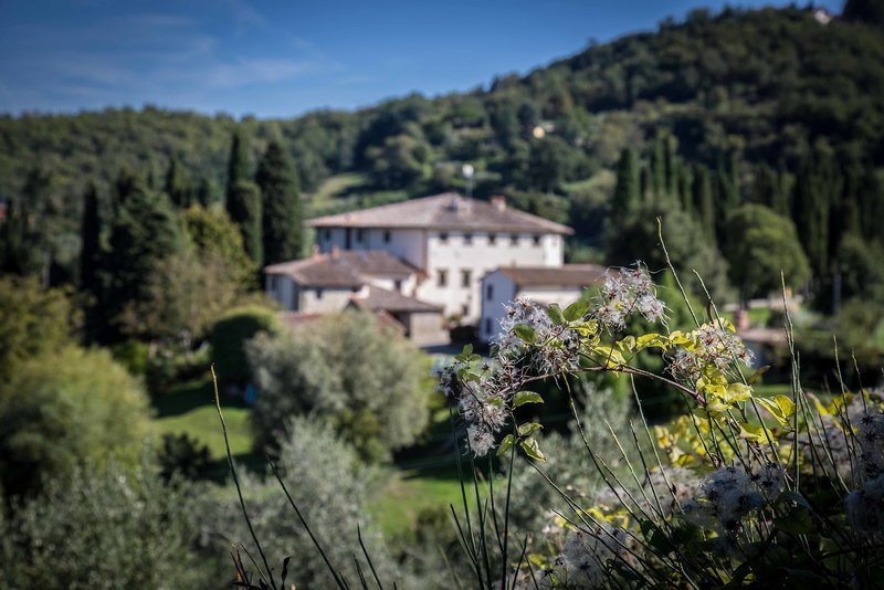 Villa Campestri Olive Oil Resort