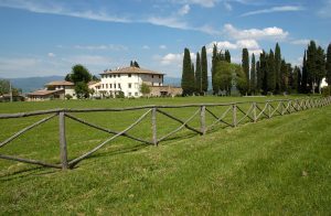campestri5 3