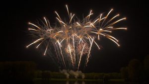 Rhein in Flammen - Bonn 2015