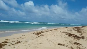 Playa uvero Alto