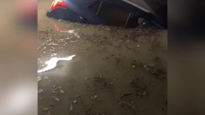 Maltempo, allagato l'ospedale di Pescara