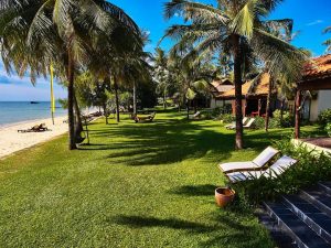 chensearesort33 3