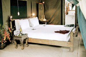 elephanthillstentedcamp25 3