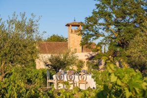 zoritawinehotel16 3