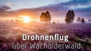 Lüneburger Heide: Drohnen Flug über den Wacholderwald Schmarbeck