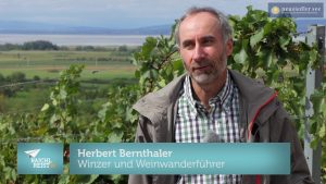 Weinwandern im Pannonischen Herbst - Neusiedler See Tourismus