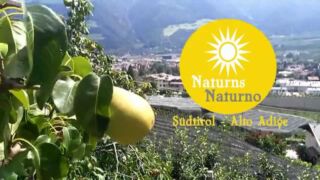 Naturns Naturno   Südtirol Alto Adige