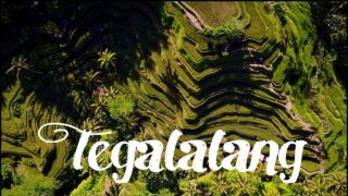 Bali rice terraces - Travel Ubud ULTRA HD DRONE