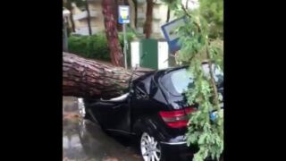 Maltempo, strage di alberi a Milano Marittina: il video della tromba d'aria girato dai reggiani