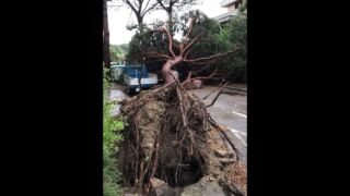 Tempesta a Milano Marittima 10 luglio 2019