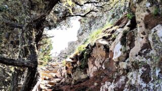 Wander auf La Gomera - Zu den Casas de Cuevas Blancas(2019, 4k)