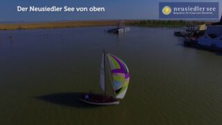 Der Neusiedler See - Neusiedler See Tourismus